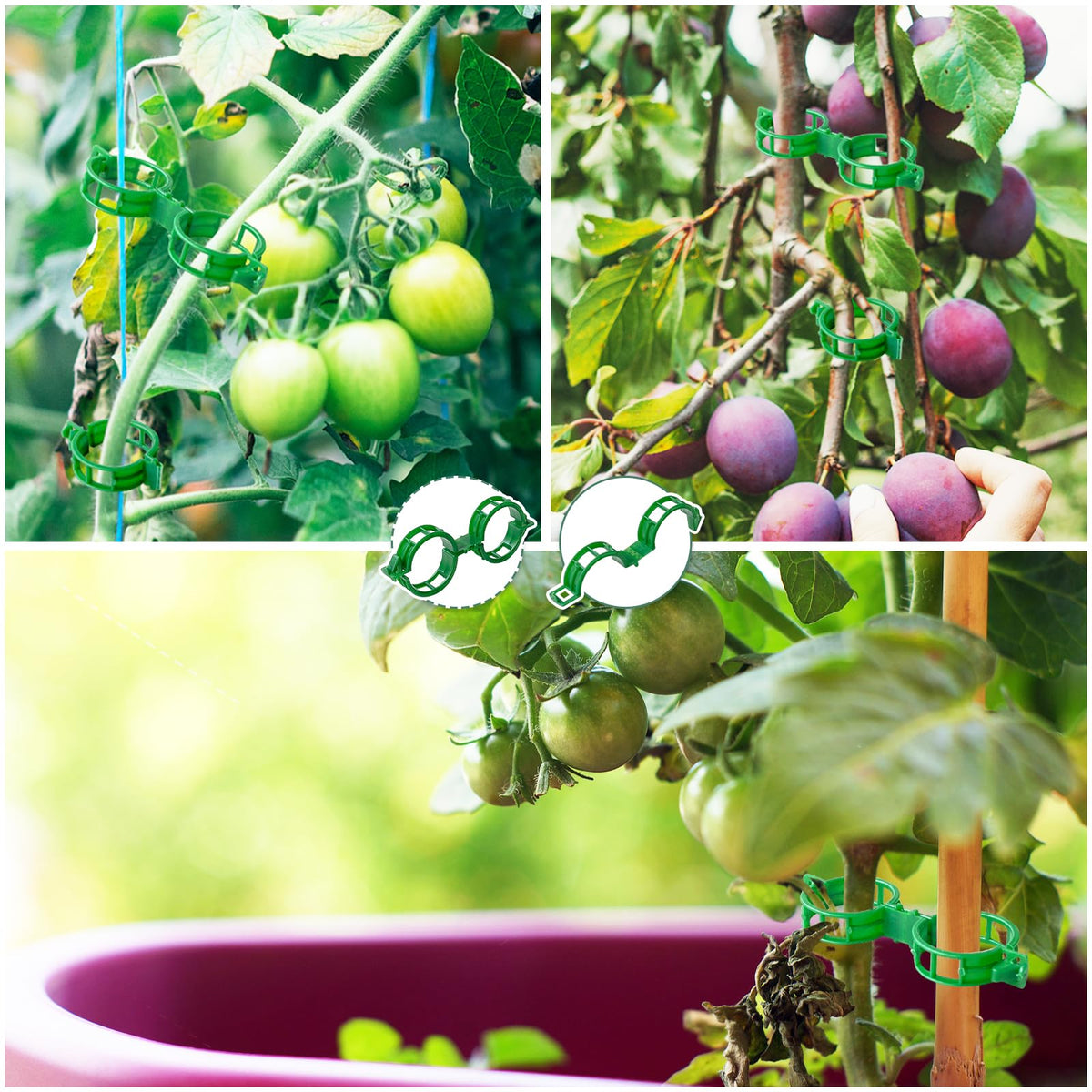 OJYUDD clips provide reliable support for vines and vegetables in gardens