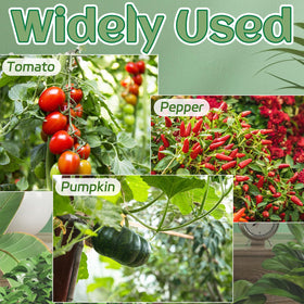 OJYUDD secure-clips keep flowers upright in small home gardens.