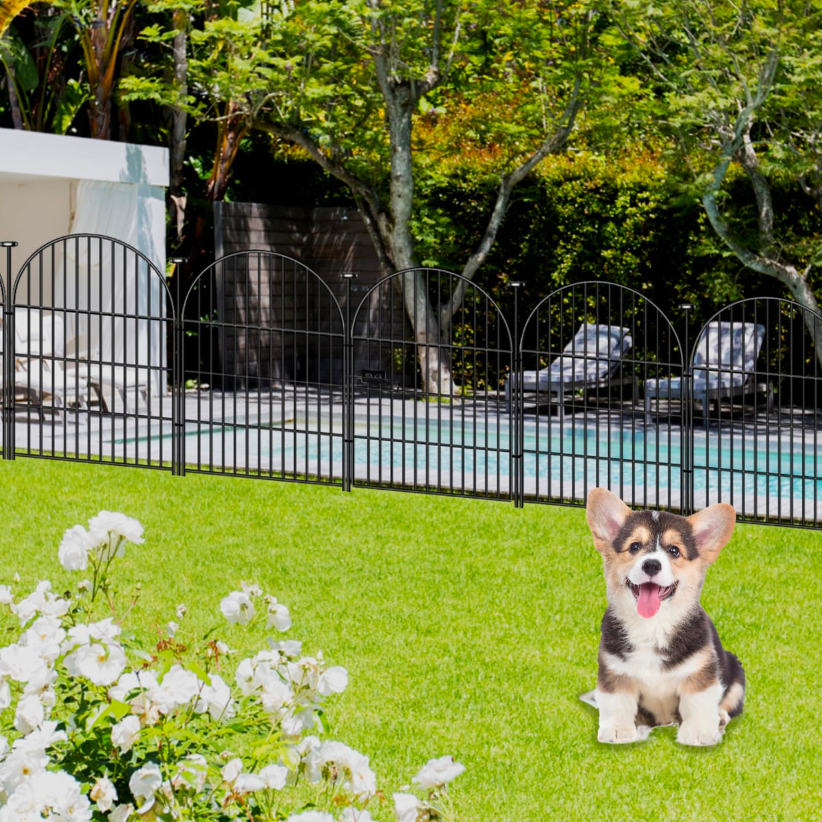 Okaygardn pet outdoor fence keeps dogs safe while enjoying fresh air.