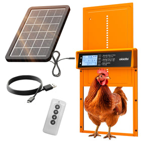 OKKÖBI automatic door with solar panel provides autonomous coop protection at day and night.