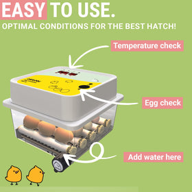 OKKÖBI OBI-12 incubator top panel with clear controls