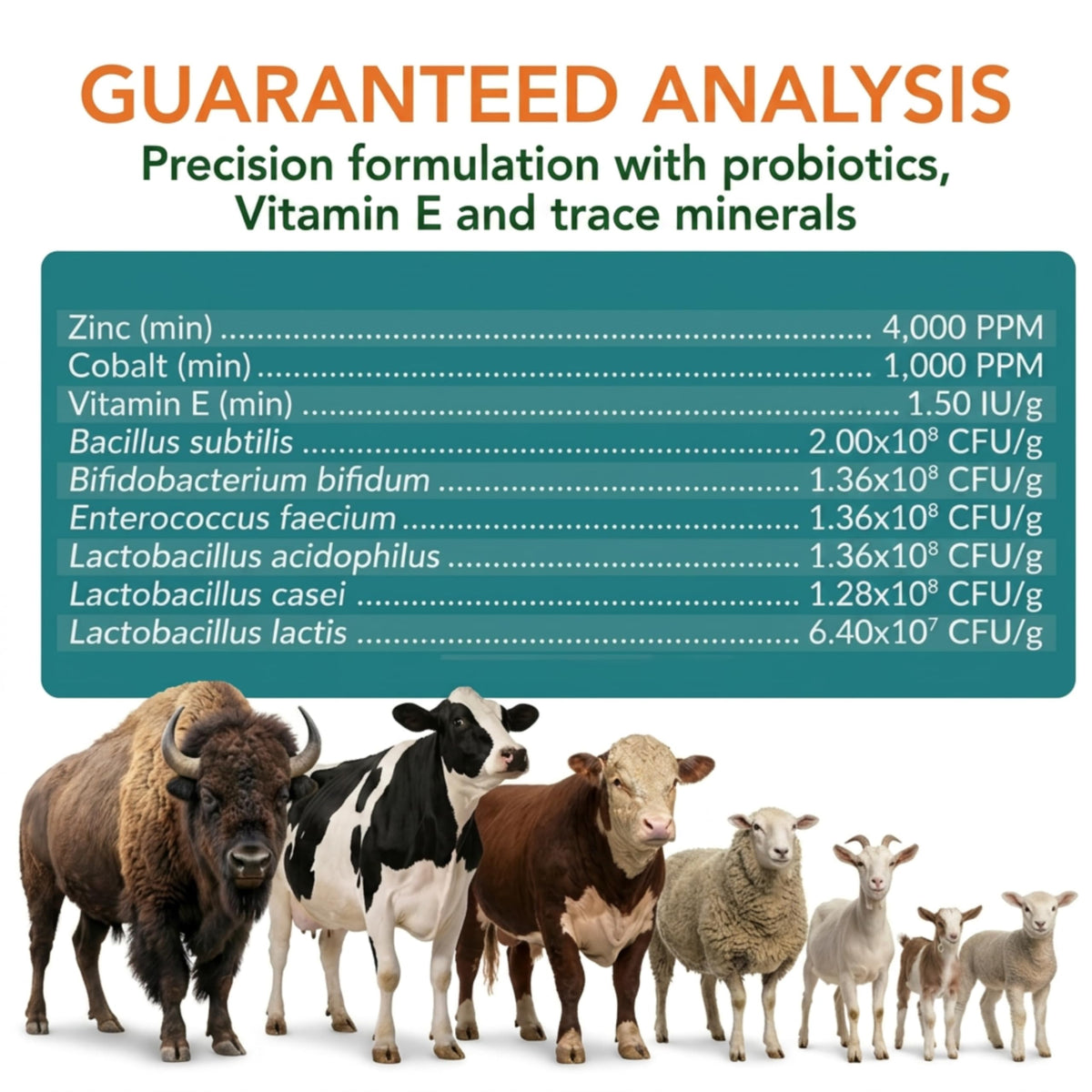 OL NELLY Ruminant Probiotic Paste support for calving and early postnatal periods
