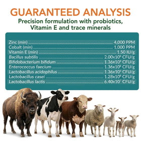 OL NELLY Ruminant Probiotic Paste support for calving and early postnatal periods