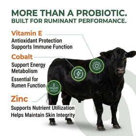 OL NELLY Ruminant Probiotic Paste fiber-digestion emphasis aids nutrient utilization