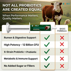 OL NELLY Ruminant Probiotic Paste neonatal-energy during weaning and transport