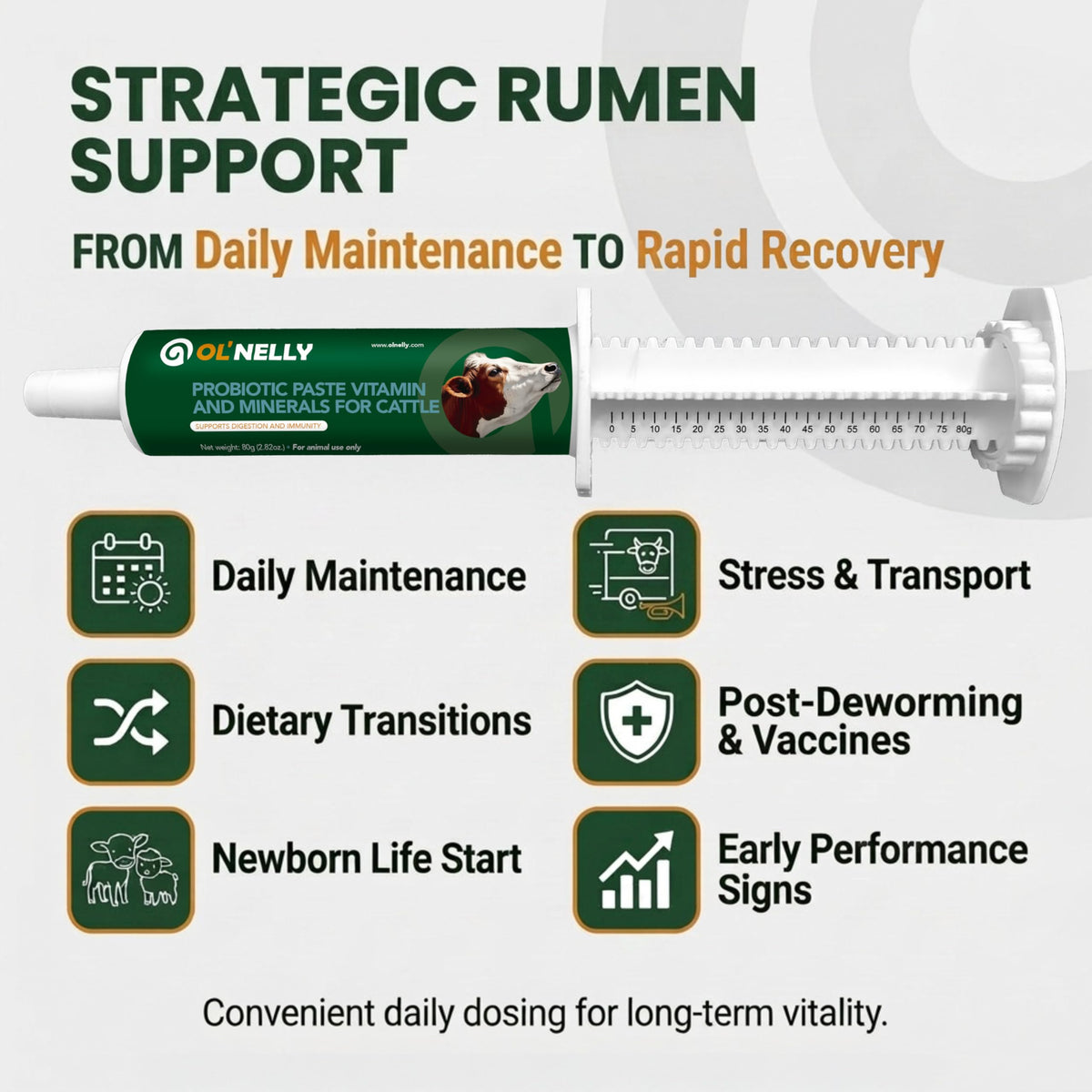 OL NELLY Ruminant Probiotic Paste zinc-cobalt-vitamin-e boost for metabolic resilience