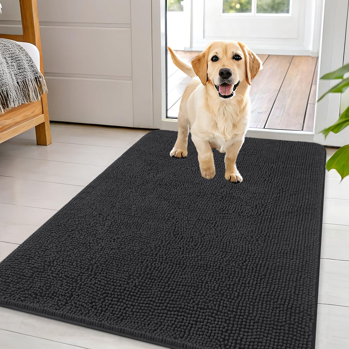 OLANLY dog door mat absorbs moisture and dirt at the entry