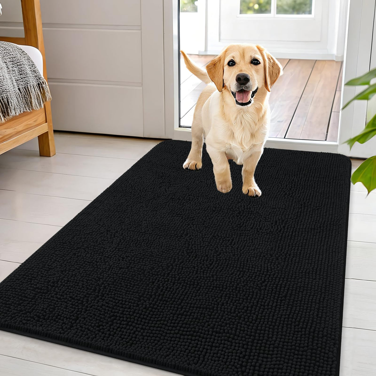 OLANLY dog door mat with chenille absorbs moisture from muddy paws