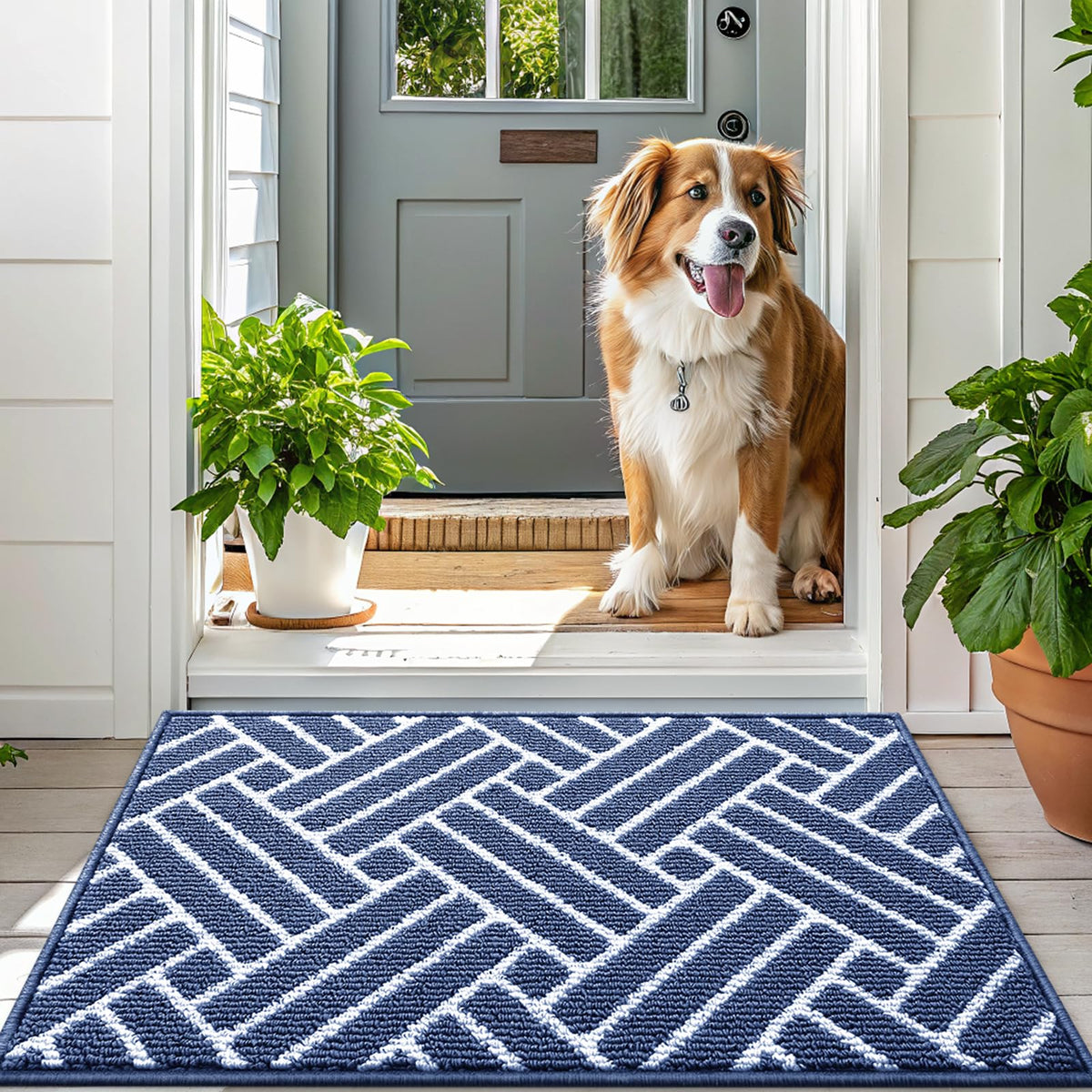 OLANLY entry mat suits indoor entrances, kitchens, and more.
