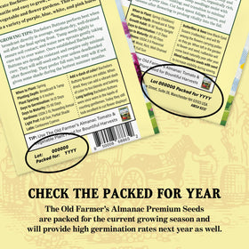 The Old Farmer's Almanac broad-leaved sage closeup highlights gray-green foliage for culinary depth.