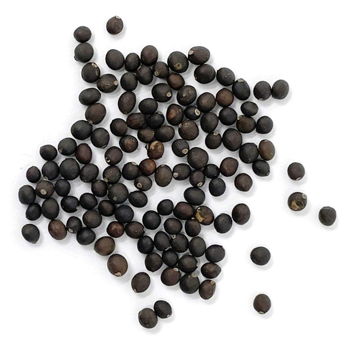 The Old Farmer's Almanac sage seeds gram contents highlights open-pollinated heritage for versatile herb garden use.