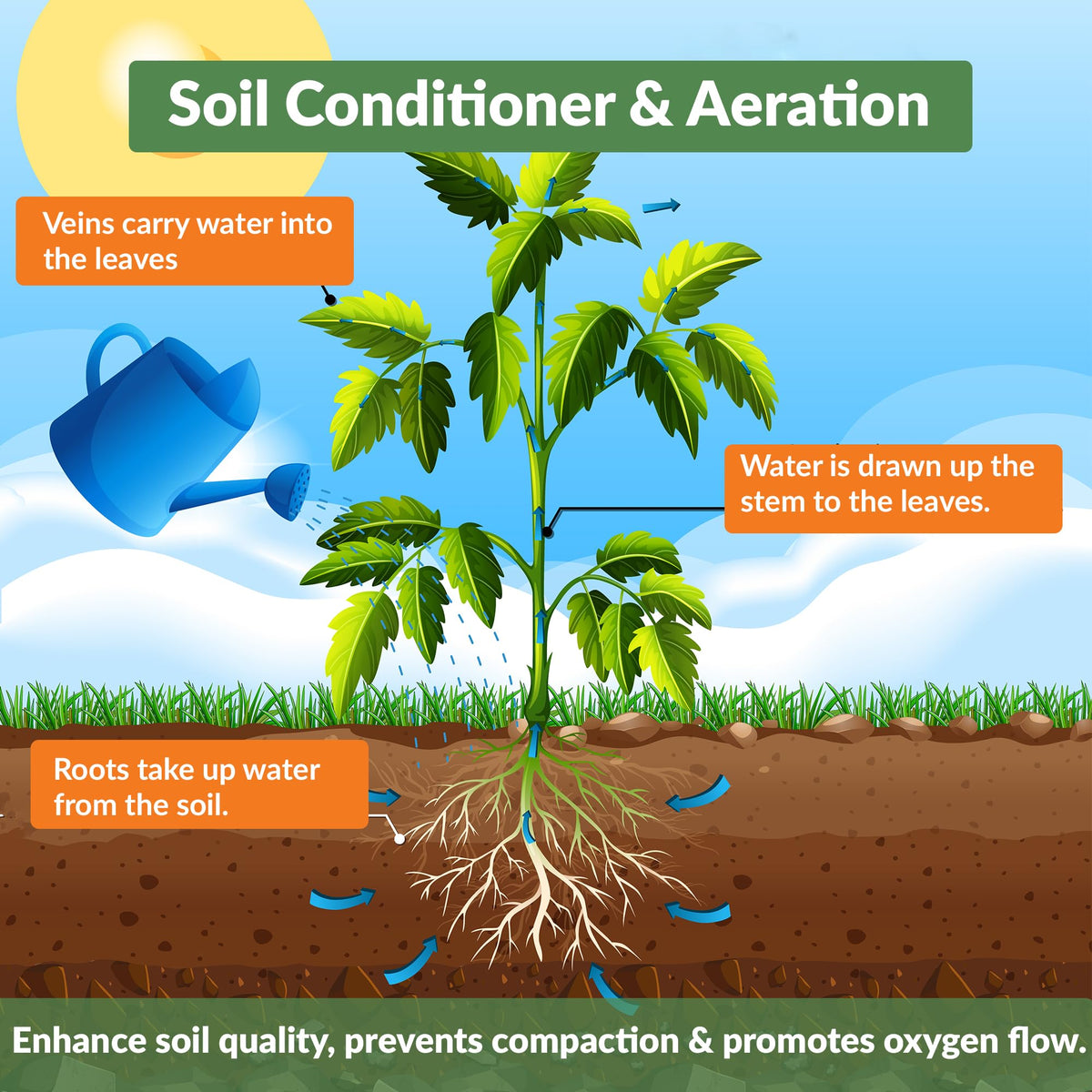 Old Potters charcoal chips absorb moisture to stabilize potting mixes.