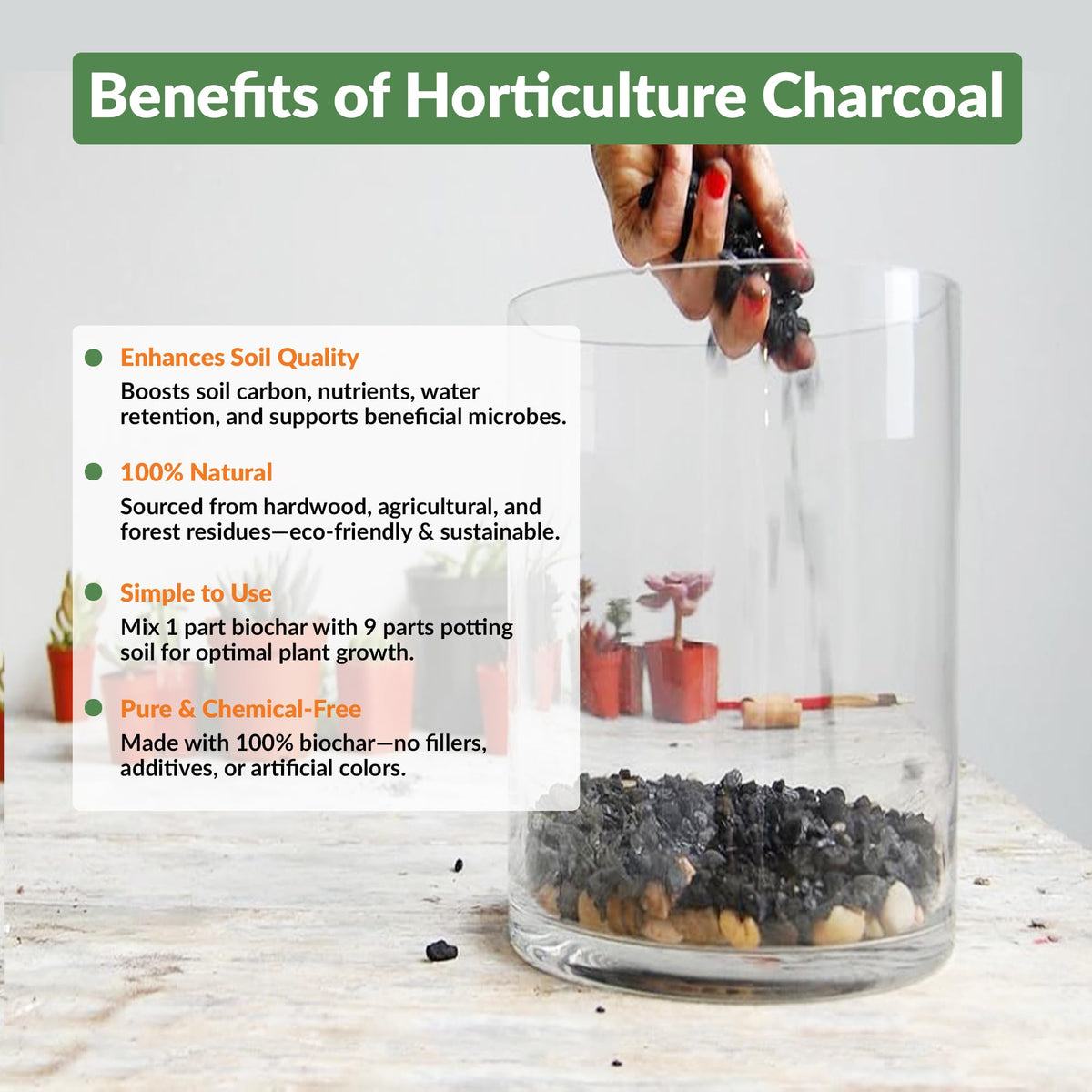 Old Potters charcoal chips blended into potting mix for balanced moisture.