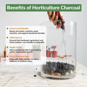 Old Potters charcoal chips blended into potting mix for balanced moisture.