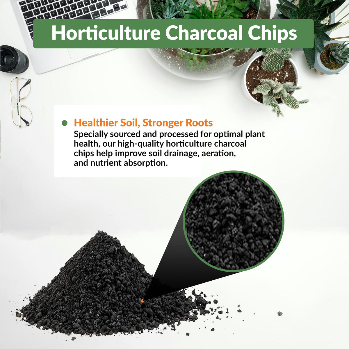 Old Potters terrarium setup with charcoal chips improving drainage and airflow.