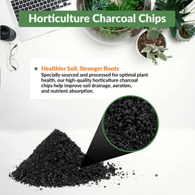 Old Potters terrarium setup with charcoal chips improving drainage and airflow.