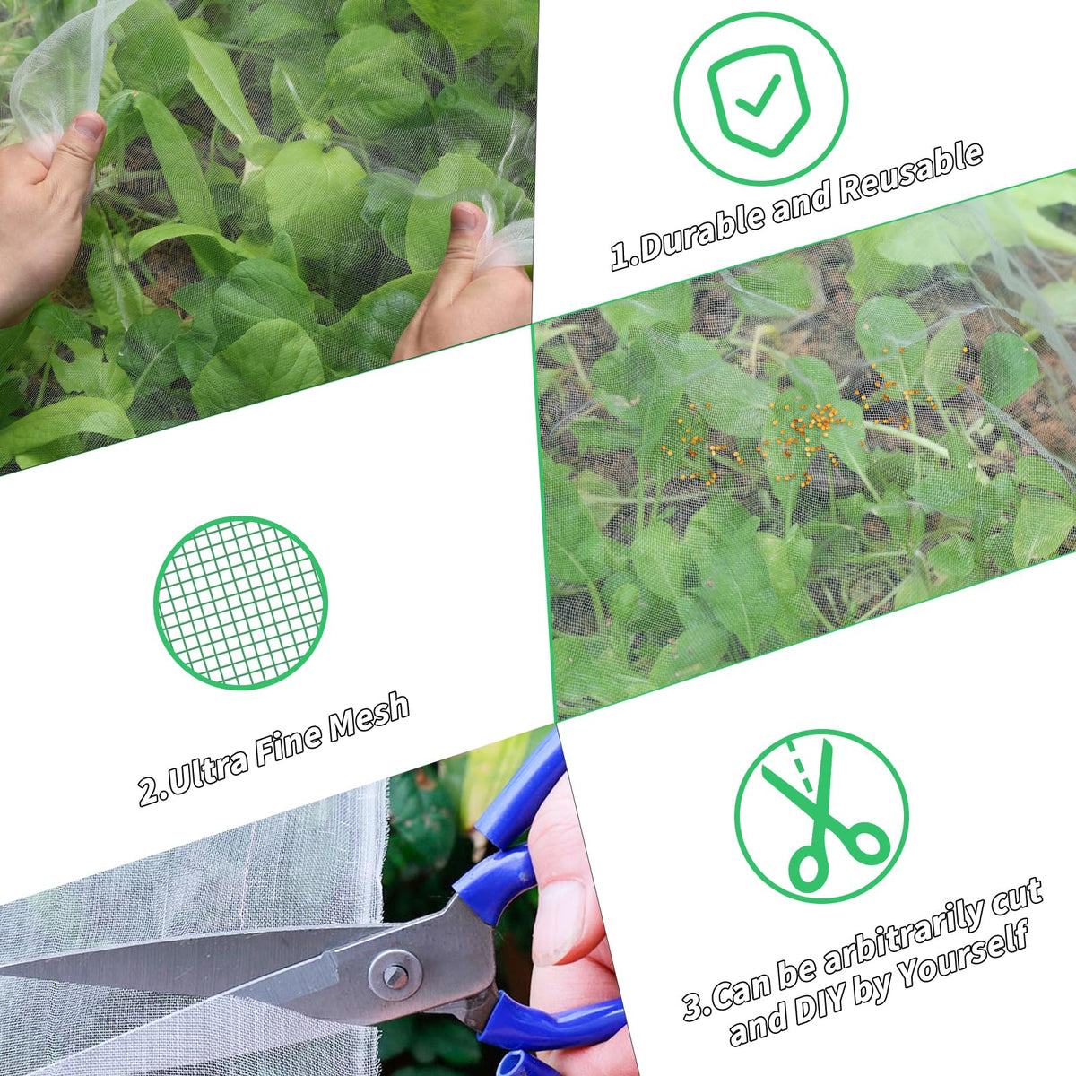 Oleitodh plant covers protecting cabbage and tomatoes while preserving light
