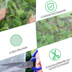 Oleitodh plant covers protecting cabbage and tomatoes while preserving light