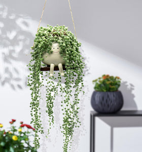 OLINLIFE durable resin planter for outdoor use resists fading and cracking.