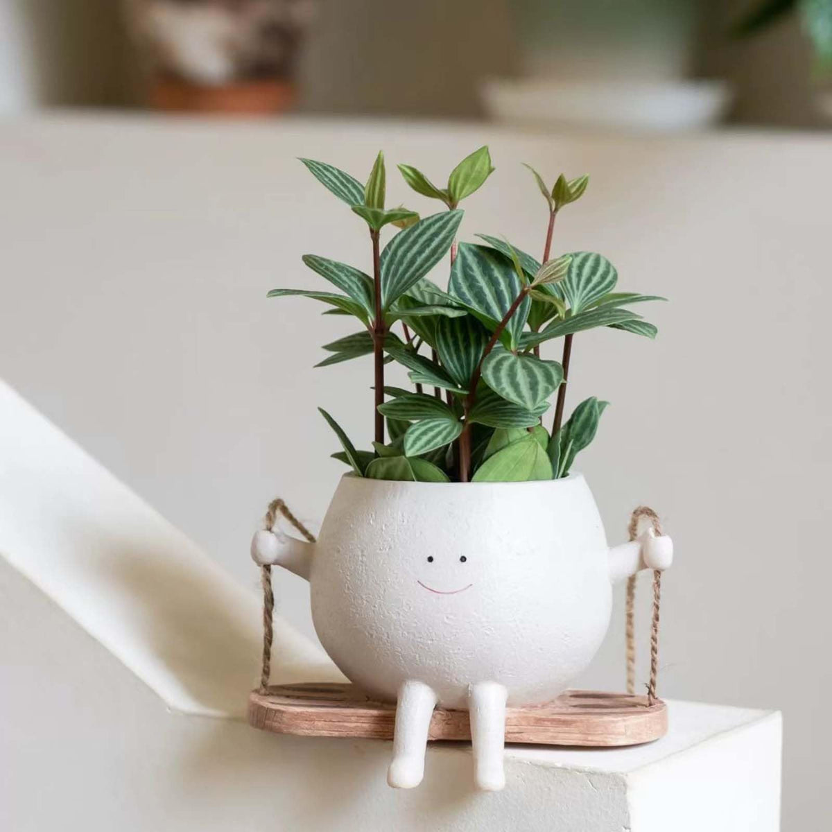OLINLIFE indoor outdoor decor adds charm to terraces, desks, and gardens.