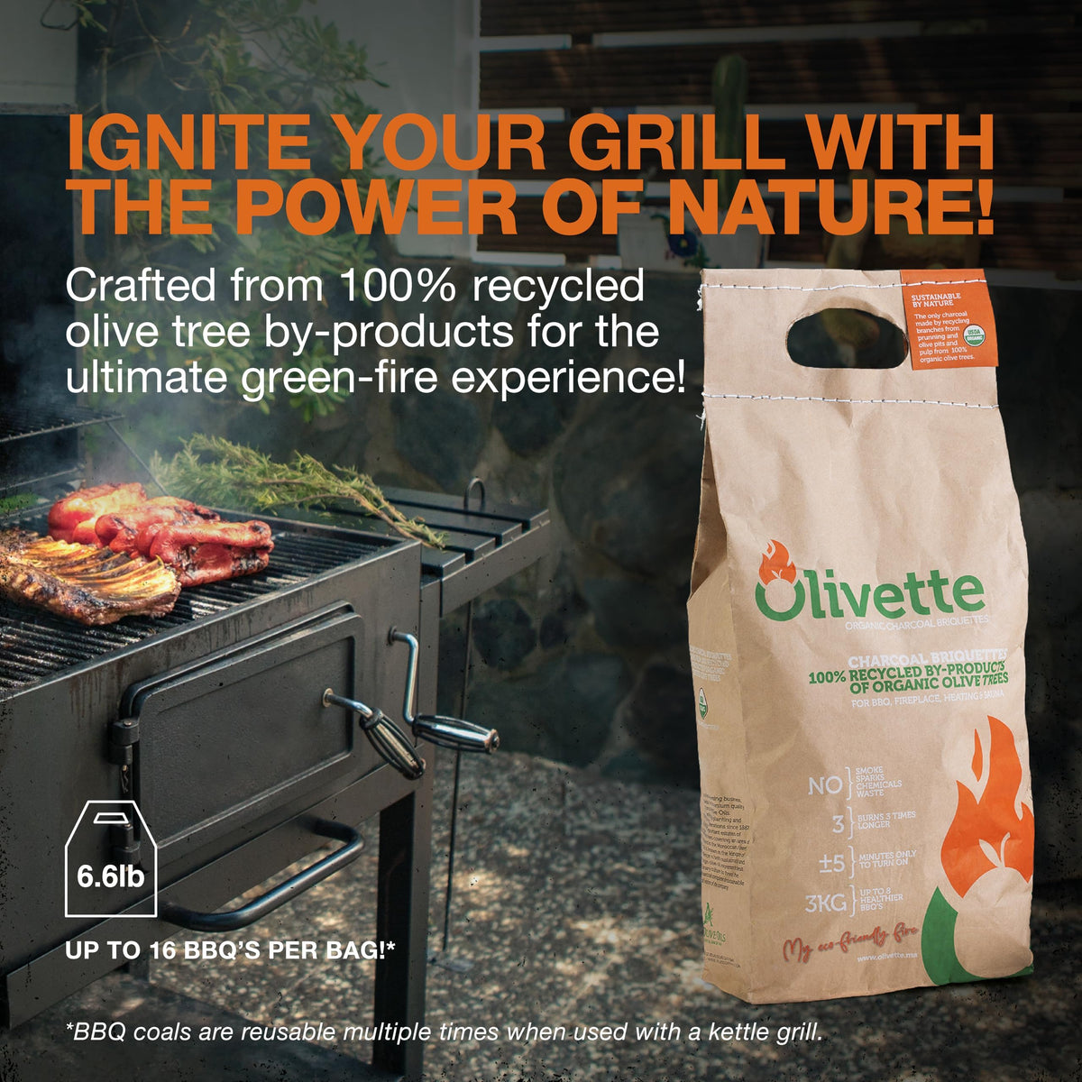 Olivette briquettes burning clean with minimal smoke on a grill.