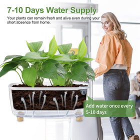 Oliz coconut coir pellets kit ready-to-use soil for lively indoor plants.