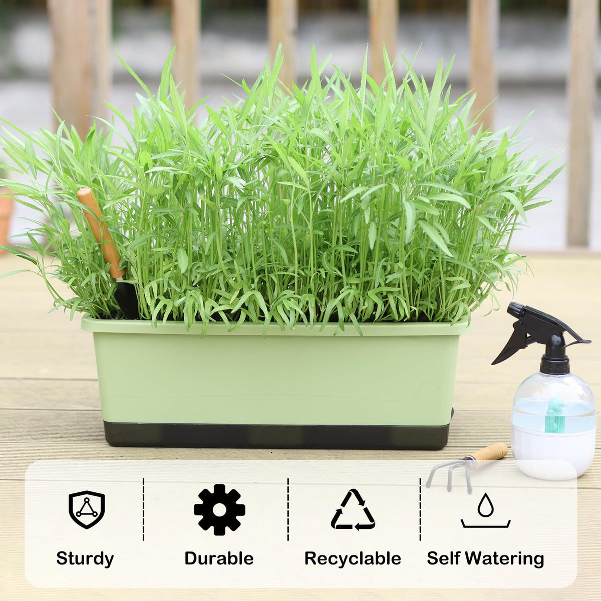 Oliz cotton rope wick design promotes steady moisture and reduces watering frequency.