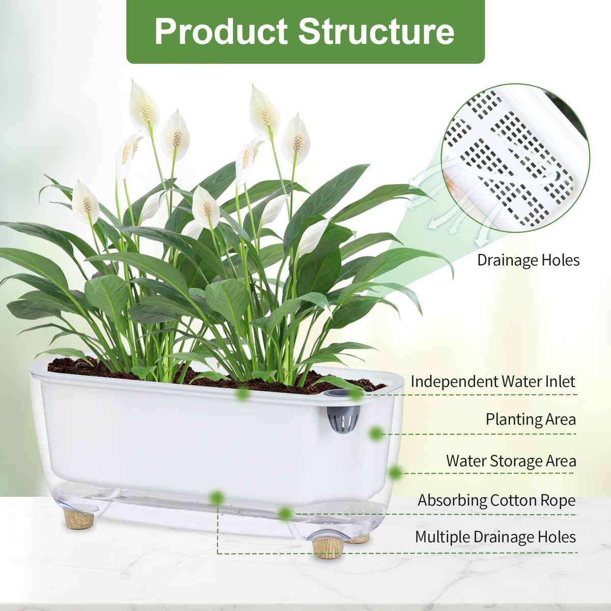 Oliz planter with built-in drainage holes supporting healthy roots.