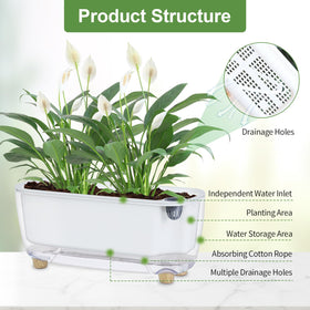 Oliz planter with built-in drainage holes supporting healthy roots.