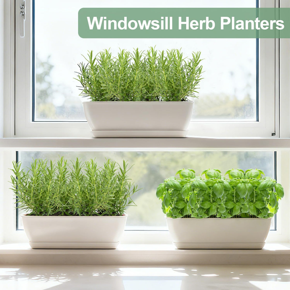 Oliz kitchen window display keeps fresh basil and mint within reach.