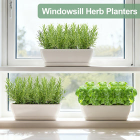 Oliz kitchen window display keeps fresh basil and mint within reach.