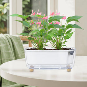 Oliz minimalist planter complements contemporary interiors.
