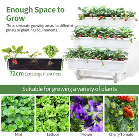 Oliz planters removable pots with drainage holes for soil aeration