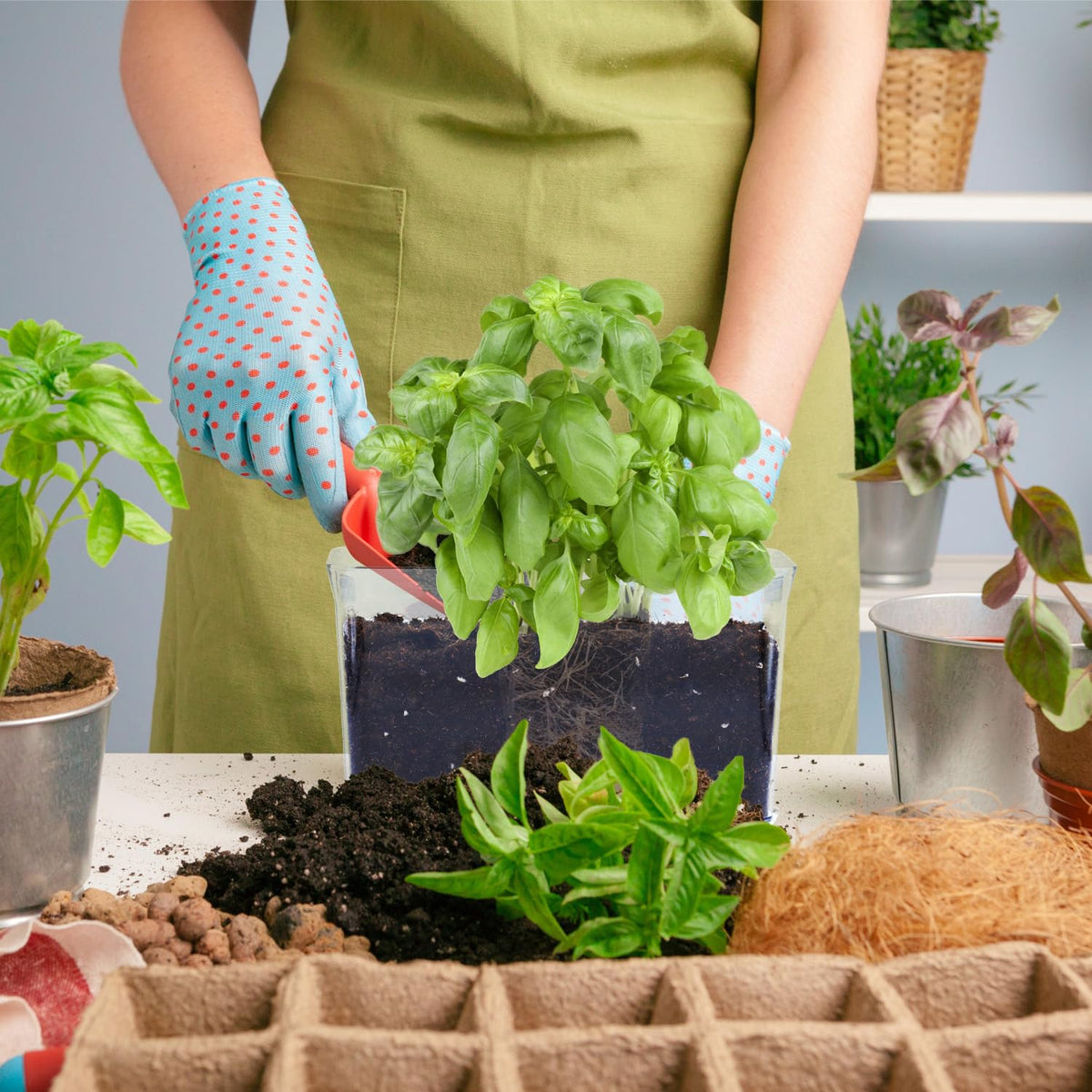 Oliz planters with plants demonstrate versatile indoor use and gifting ideas.