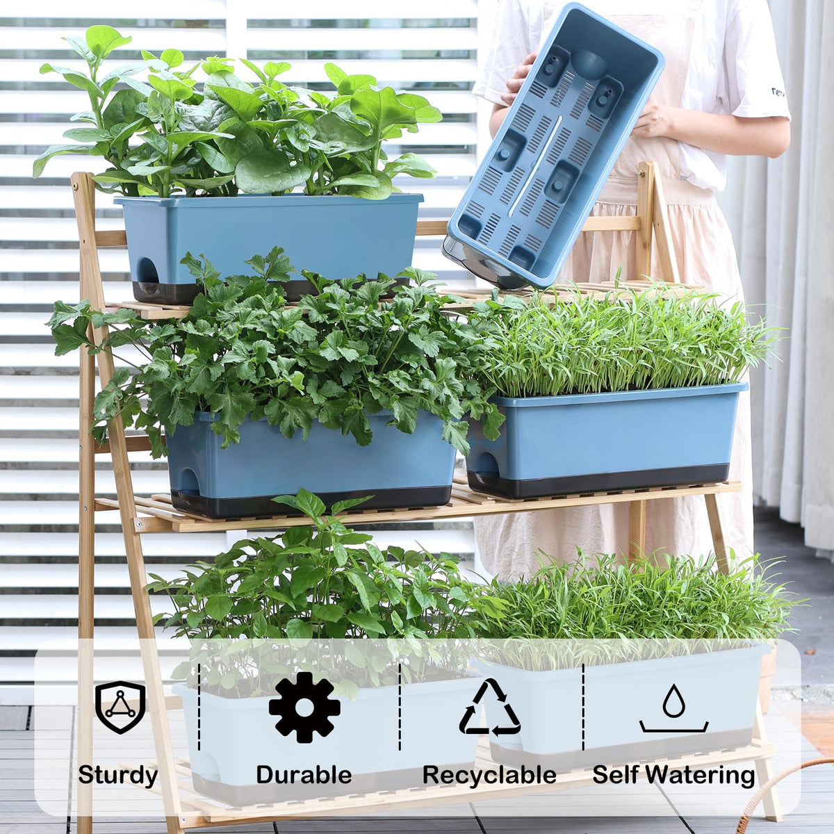 Oliz rectangle flower pots blue pack, perfect for windowsill decor and compact herb gardens.
