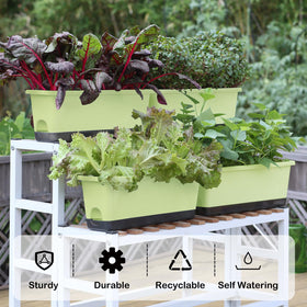 Oliz self-watering design with 1 L reservoir keeps soil evenly moist for plants.