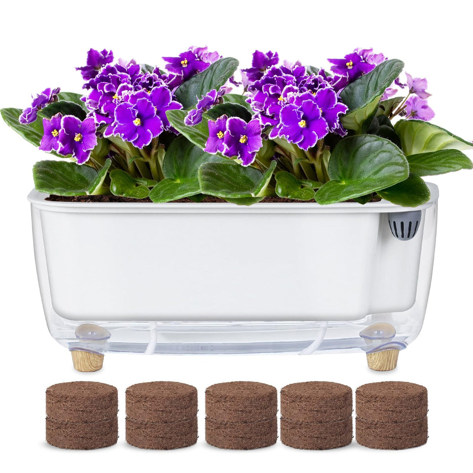 Oliz self-watering planter with transparent water reservoir for effortless indoor hydration.