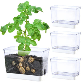 Oliz 4-pack self-watering planters in clear rectangular pots show water level at a glance.