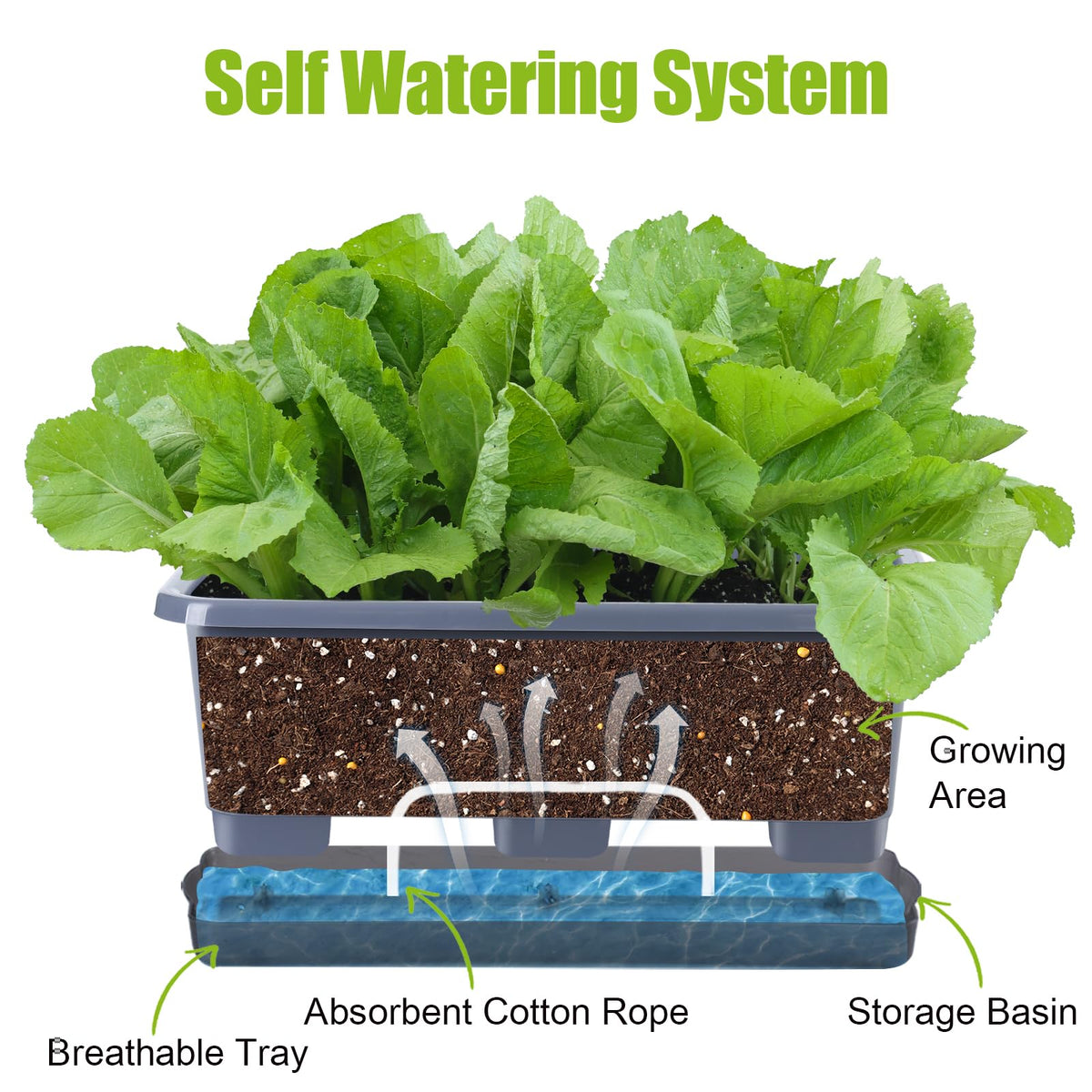 Oliz self-watering system with cotton rope supports steady hydration