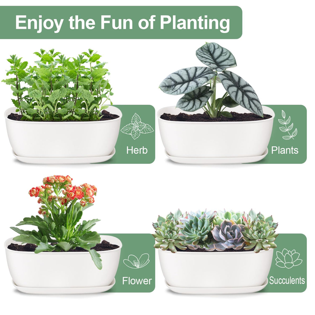 Oliz set-of-4 white oval planters, top view, tidy shallow planting space.