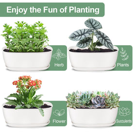 Oliz set-of-4 white oval planters, top view, tidy shallow planting space.