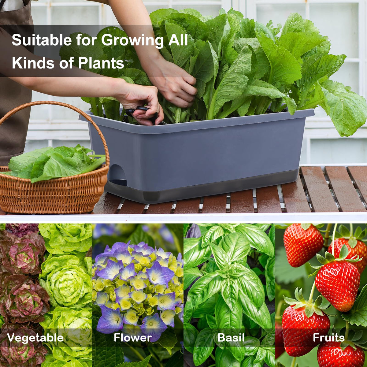 Oliz included trays catch excess water and protect surfaces