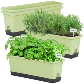 Oliz Window Box Planter 4-Pack on a bright windowsill, ideal for herbs and flowers.