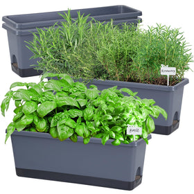Oliz window box planter with rectangular 17-inch design for herbs on a sunny windowsill