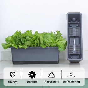 Oliz self-watering system keeps plants hydrated longer between waterings