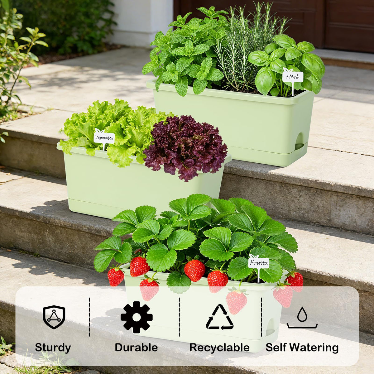 Oliz Window Box Planter six-pack—front view with drainage holes and compact tray