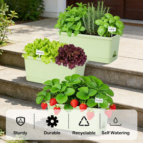Oliz Window Box Planter six-pack—front view with drainage holes and compact tray
