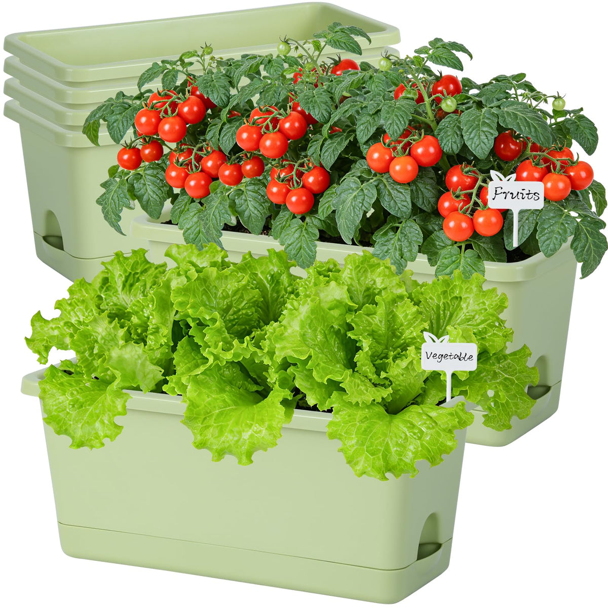 Oliz Window Box Planter six-pack—side view, large 13.8 inch pots ideal for windowsill herbs