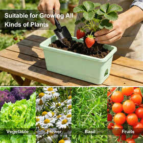 Oliz Window Box Planter six-pack—easy care for balcony gardens and small spaces