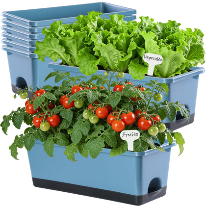 Oliz window box planter 8 pcs blue, front view, ideal for herbs and small plants.